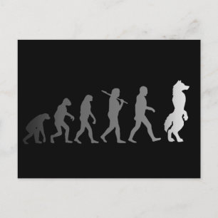 Cartão Postal Evolução do furioso