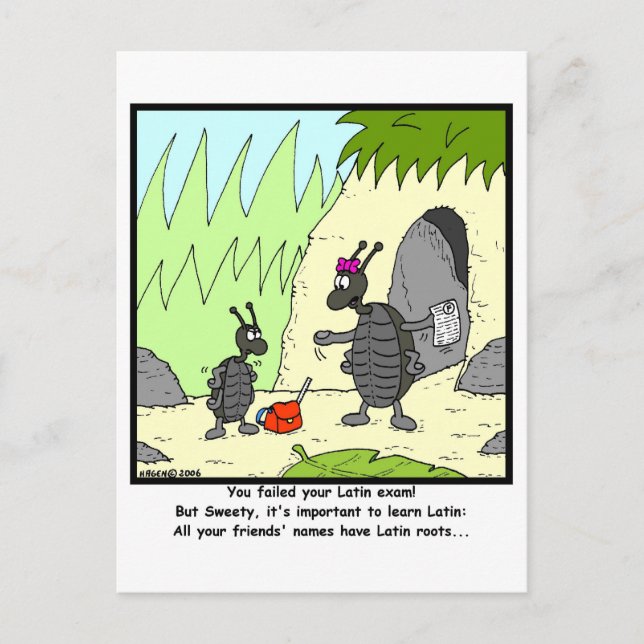 Cartão Postal Exame latino (Frente)