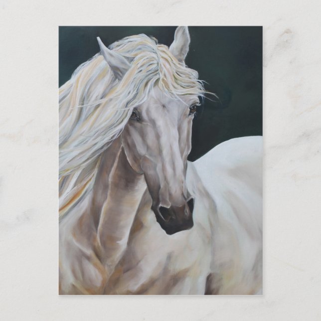 Cartão Postal Excaliberto (Frente)