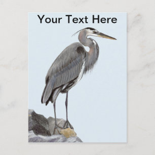Cartão Postal Excelente Blue Heron