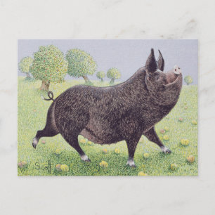 Cartão Postal Excelente do sentimento