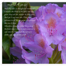 Cartão Postal Excelente É Sua Fiabilidade!