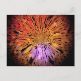 Cartão postal exclusivo