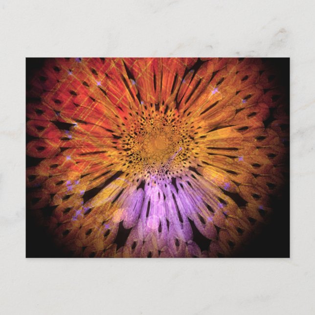 Cartão postal exclusivo (Frente)