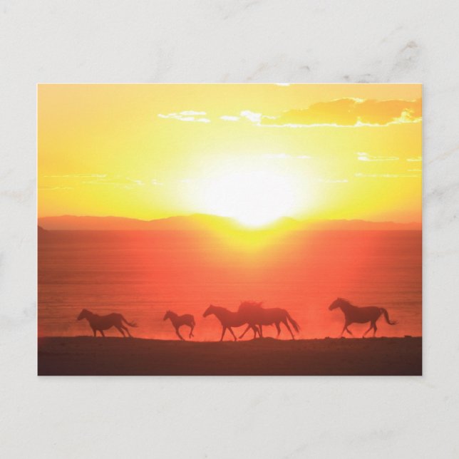 Cartão Postal Execução do Sunset (Frente)