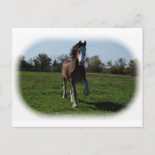 Cartão Postal Executando o Clydesdale (Frente)