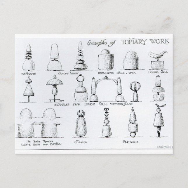 Cartão Postal Exemplos de trabalhos de Topiary, 1902 (gravura) ( (Frente)