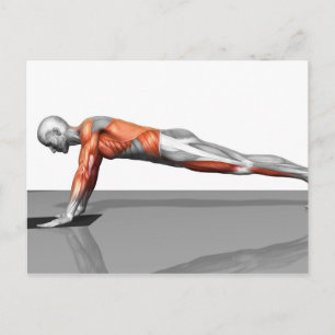 Cartão Postal Exercício De Mosca De Toalhas