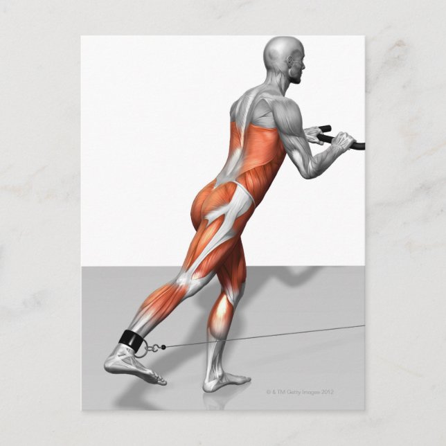 Cartão Postal Exercício de skater a cabo (Frente)