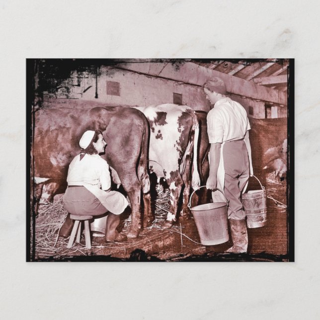 Cartão Postal Exército da Terra das Mulheres LACTICÍNIOS WWII (Frente)