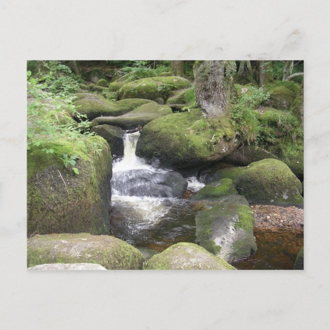 Cartão Postal exeter 2009 105 (Frente)