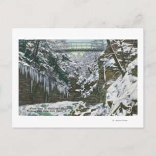 Cartão Postal Exibição da Ponte de Suspensão de Gorge do Estadua