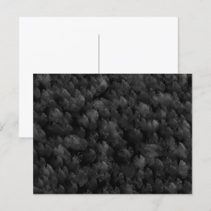 Cartão Postal Exibição de Fogos de Artifício Preto Cinza e Color