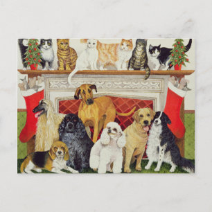 Cartão Postal Expectativas do excelente