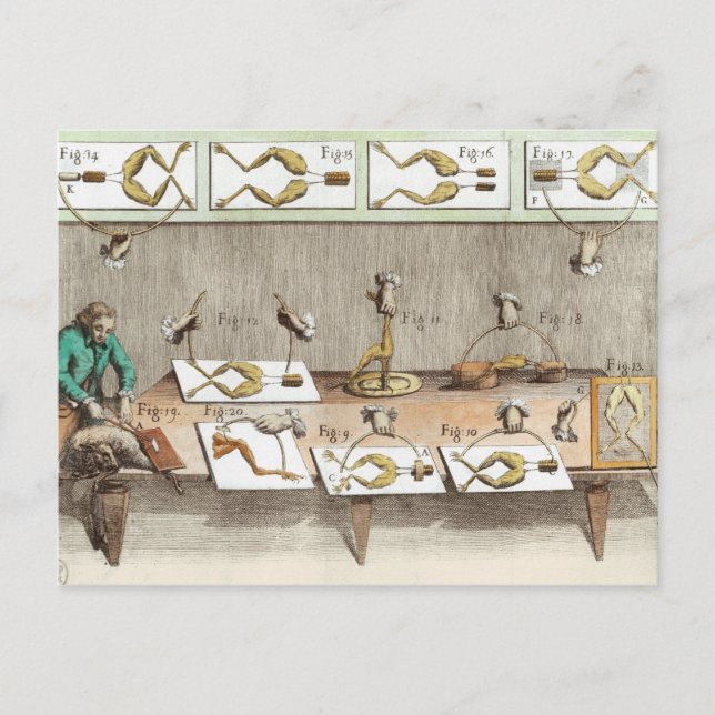 Cartão Postal Experiência em sapos (Frente)