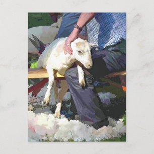 CARTÃO POSTAL EXPLORAÇÃO