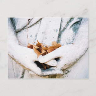 Cartão Postal Exploração