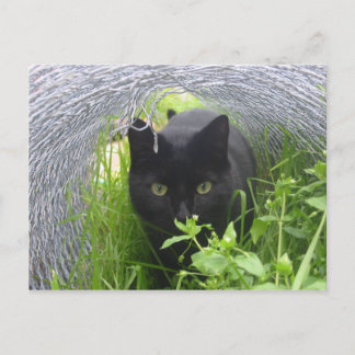 Cartão Postal Explorar