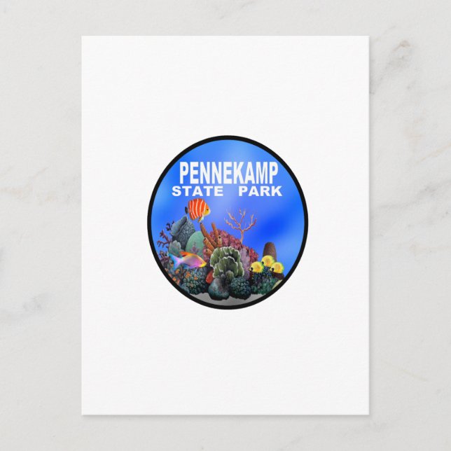 CARTÃO POSTAL EXPLORAR AS RESPOSTAS (Frente)