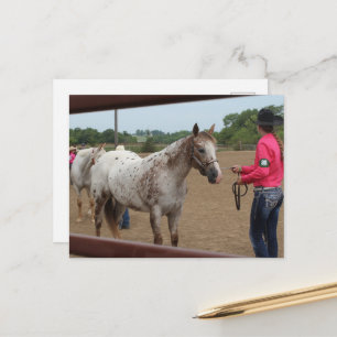 Cartão Postal Exposição de Cavalos Destreza Spotted Pony of Amer
