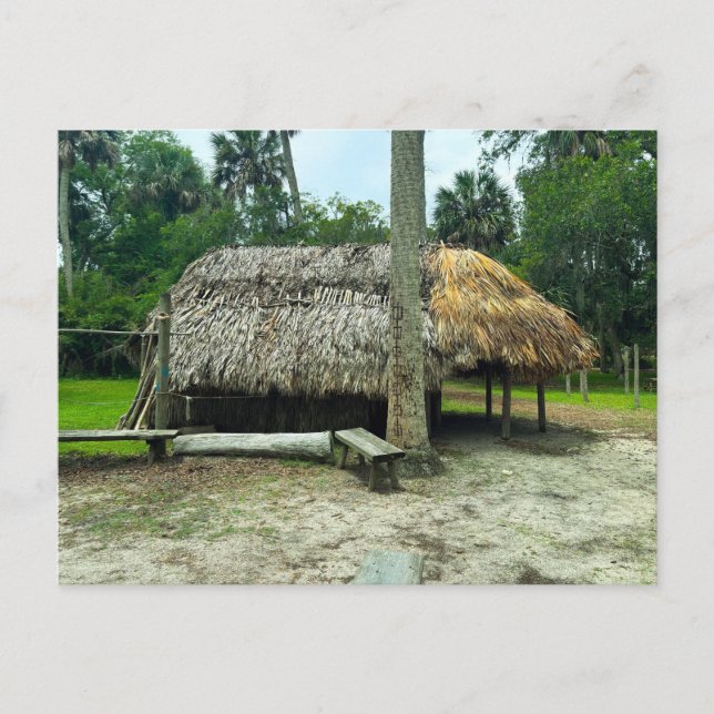 Cartão Postal Exposições de índios Timucua (Frente)