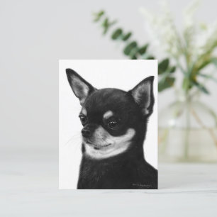Cartão Postal Expressão Confiante Chihuahua - Pintada Mão