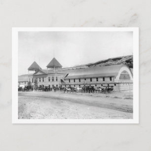 Cartão Postal Exterior da maior solha