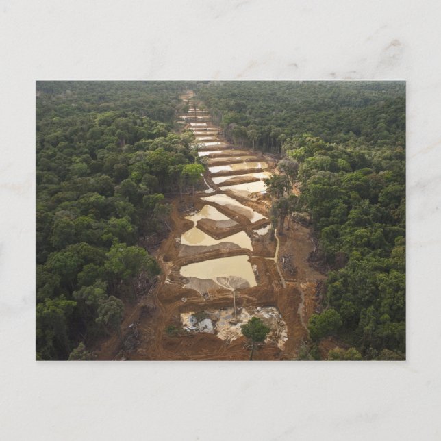 Cartão Postal Extração Dourada aluvial. Floresta Tropical, Guian (Frente)