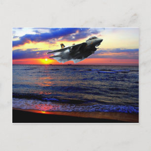 CARTÃO POSTAL F-14 TOMCAT