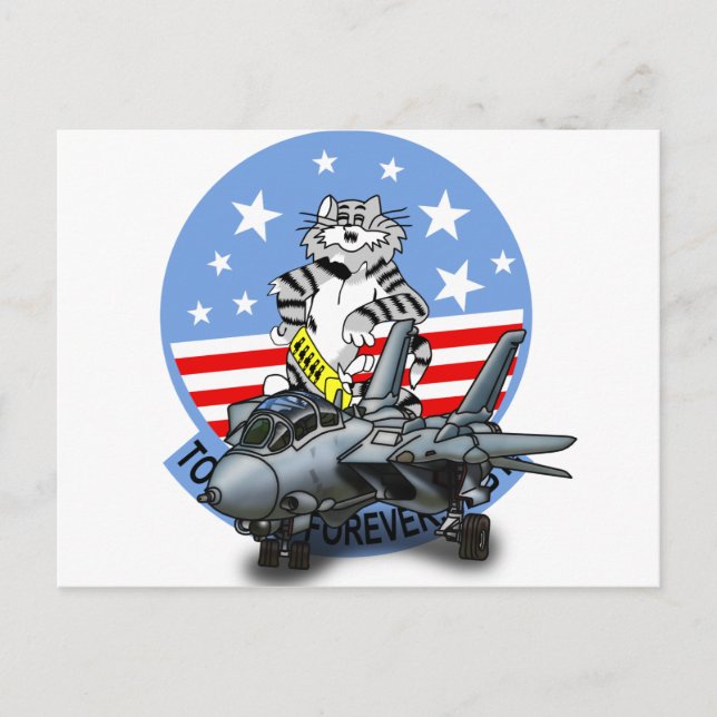 Cartão Postal F-14 TOMCAT Para Sempre (Frente)