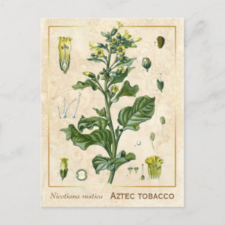 Cartão Postal Fábrica Farmacêutica Vintage Aztec Cigarro Botânic