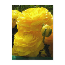 Faça o meu amarelo