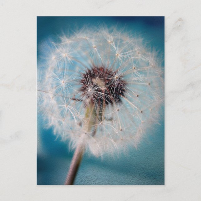 Cartão Postal Faça um desejo (Frente)