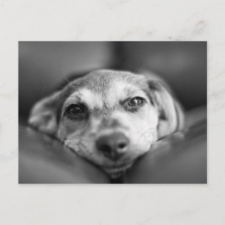 Cartão Postal Face a Face