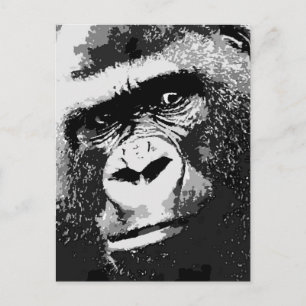 Cartão Postal Face de Gorilla