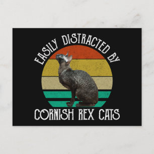 Cartão Postal Facilmente Distraído Por Gatos Cornish Rex