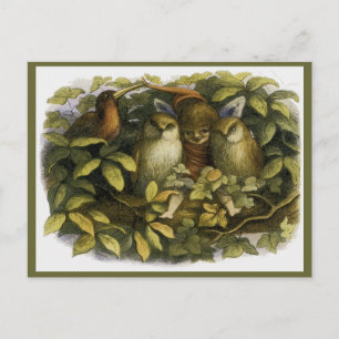 Cartão Postal "Fada com Corujas" por Doyle