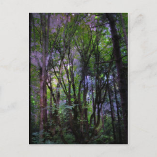 Cartão Postal Fairy Lights Surreal Forest
