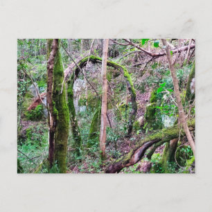 Cartão Postal Fairy Portal - Rio de Mouros - Conímbriga - PT