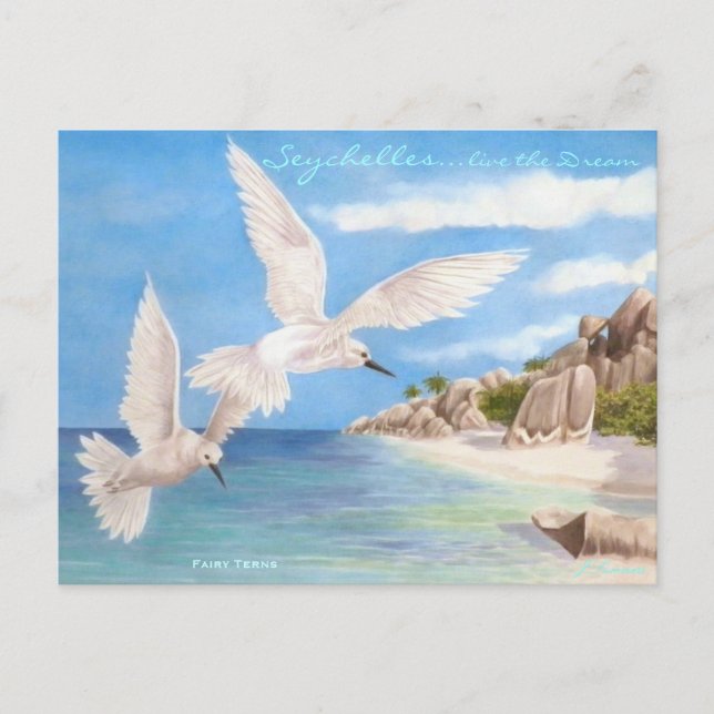 Cartão Postal Fairy Terns (Frente)