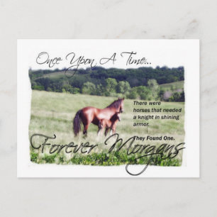 Cartão Postal Fairytale Morgan Mare e Foal