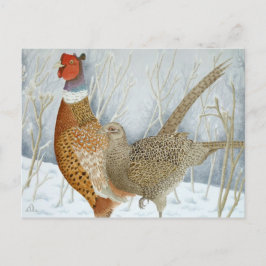 Cartão Postal Faisão na neve