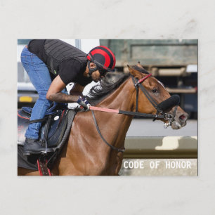 Cartão Postal Faixa de Formação do Parque Belmont (1)