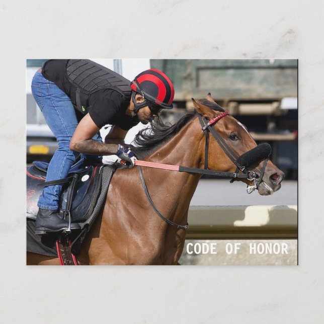 Cartão Postal Faixa de Formação do Parque Belmont (1) (Frente)