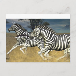 Cartão Postal Faixas de Corrida - Cartão-postal Zebra