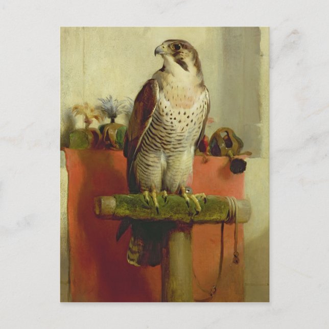 Cartão Postal Falcão, 1837 (Frente)