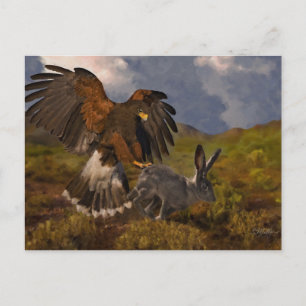 Cartão Postal Falcão-de-harris e lebre - acrílico