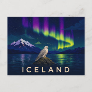 Cartão Postal Falcão-gerifalte sob a Aurora   Islândia Icônica