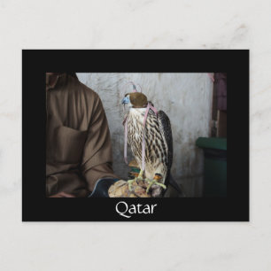 Cartão postal Falconry Falcon Black Qatar