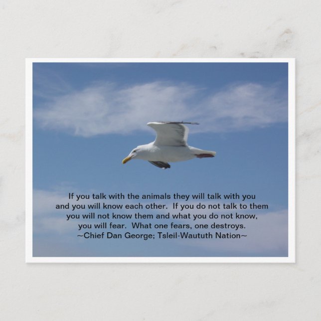 Cartão Postal Fale com os animais (Frente)